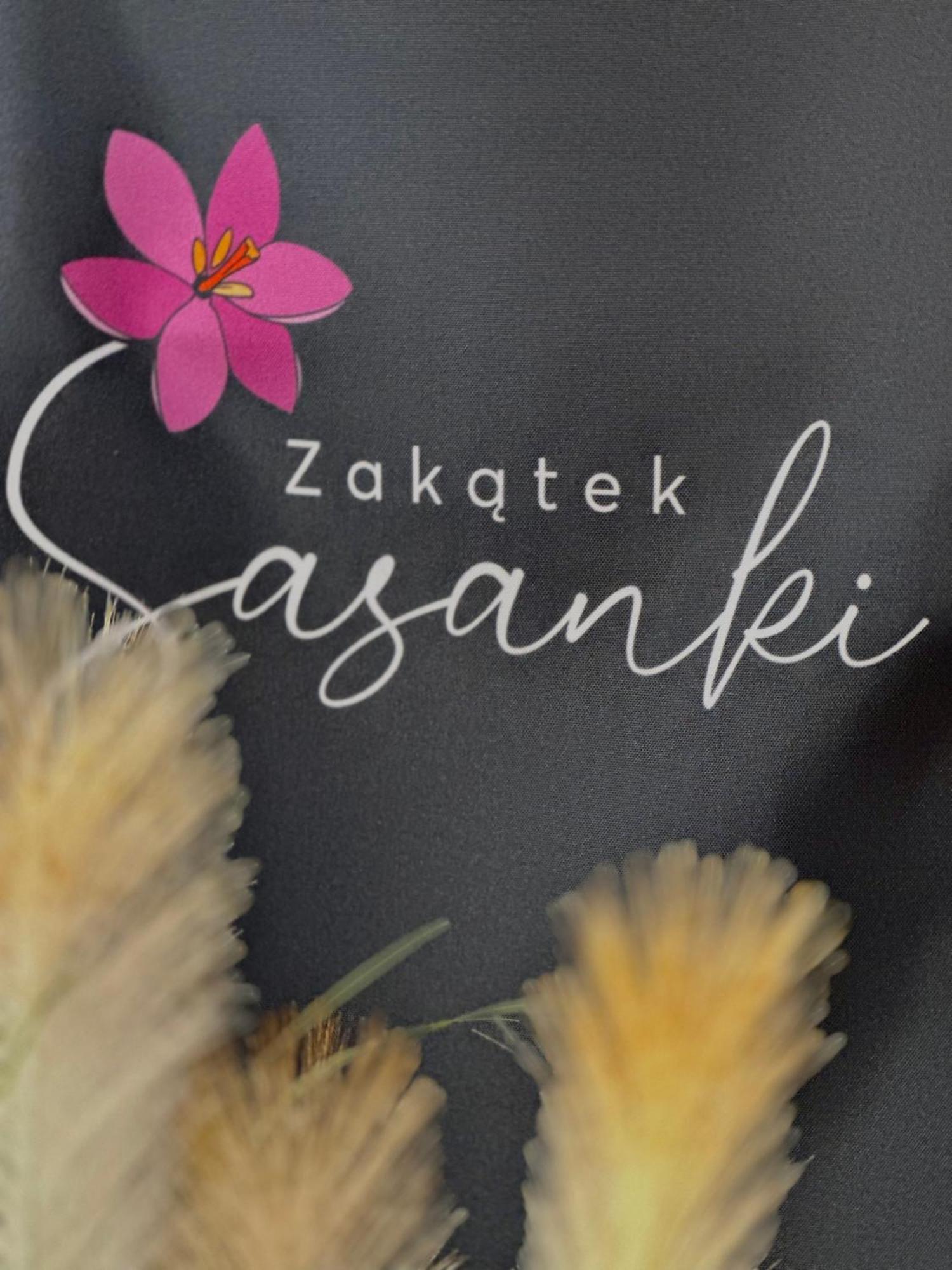 Zakatek Sasanki Villa ลูเบียโตโว ภายนอก รูปภาพ